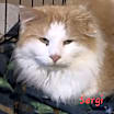 Thumbnail photo of Sergi #2
