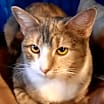 Thumbnail photo of Constance #2