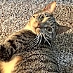 Thumbnail photo of CROIXX #4
