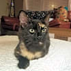 Thumbnail photo of Mona #1