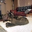 Thumbnail photo of Mona #2