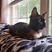 Thumbnail photo of Mona #3