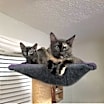Thumbnail photo of Mona #4