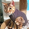 Thumbnail photo of Sandy #1