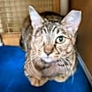 Thumbnail photo of Sandy #2