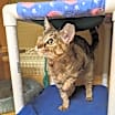 Thumbnail photo of Sandy #3