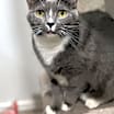Thumbnail photo of Marcie #1