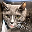 Thumbnail photo of Marcie #2