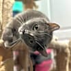 Thumbnail photo of Marcie #4