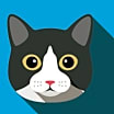 Thumbnail photo of ANY CAT (PRETEND) #2