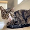 Thumbnail photo of Olivia #1