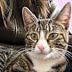 Thumbnail photo of Olivia #2