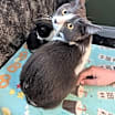 Thumbnail photo of Kit #1