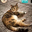 Thumbnail photo of Fish #1