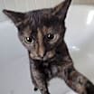 Thumbnail photo of Fiona #1