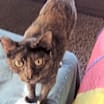 Thumbnail photo of Fiona #3