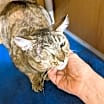 Thumbnail photo of Sandy #4
