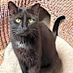 Thumbnail photo of Katie #1