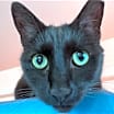 Thumbnail photo of Katie #2