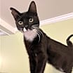 Thumbnail photo of Stormy #1