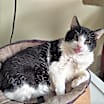 Thumbnail photo of Francesco #1