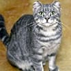 Thumbnail photo of Finny #1