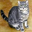 Thumbnail photo of Finny #3