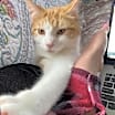 Thumbnail photo of Prince #2