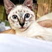 Thumbnail photo of Minka #1