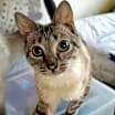 Thumbnail photo of Minka #2
