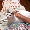 Thumbnail photo of Remi ADULT FEMALE #3