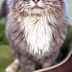 Thumbnail photo of Marty #1