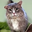 Thumbnail photo of Marty #3