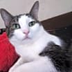 Thumbnail photo of Amberly #1