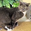 Thumbnail photo of Charlie #3
