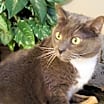 Thumbnail photo of Charlie #4