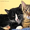 Thumbnail photo of Kickstart #3