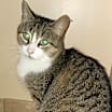 Thumbnail photo of Athena #2