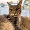 Thumbnail photo of Buster #2
