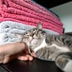 Thumbnail photo of Buster #4