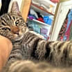 Thumbnail photo of Slurpee #1