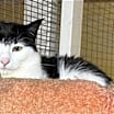 Thumbnail photo of Isabel #3