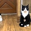 Thumbnail photo of Isabel #4