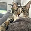 Thumbnail photo of Jammi Lou #1
