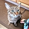 Thumbnail photo of Taylor #3