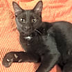 Thumbnail photo of Charlie #4