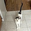 Thumbnail photo of A boy called Samson #4