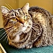 Thumbnail photo of Missy #4