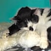 Thumbnail photo of Diego #3