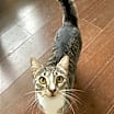 Thumbnail photo of Karma #2